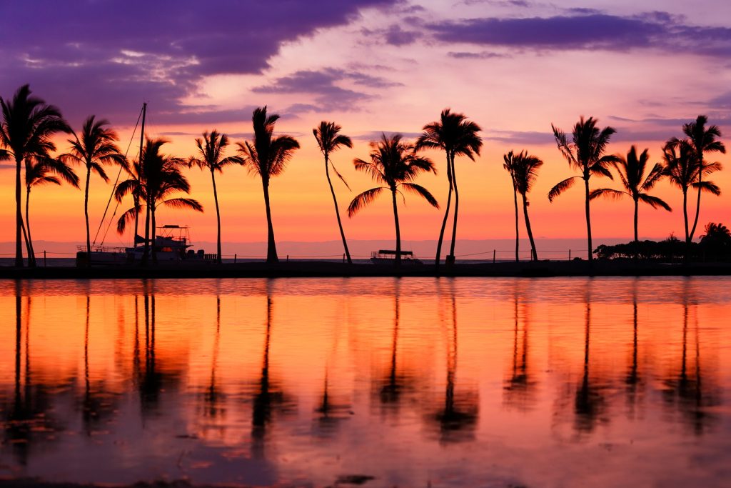 Paradise beach sunset landscape with tropical palm trees silhouettes. Summer travel vacation getaway colorful concept photo from sea ocean water at Hawaiian beach, Big Island, Hawaii, USA.